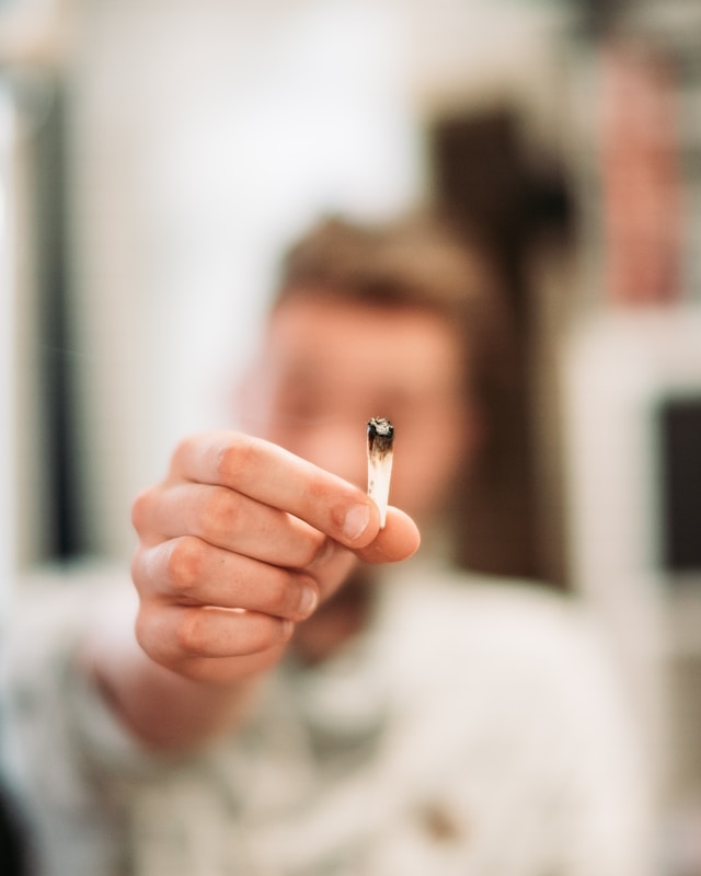 CBD produkter: En guide til naturlig velvære